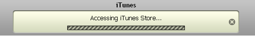 iTunes progress bar
